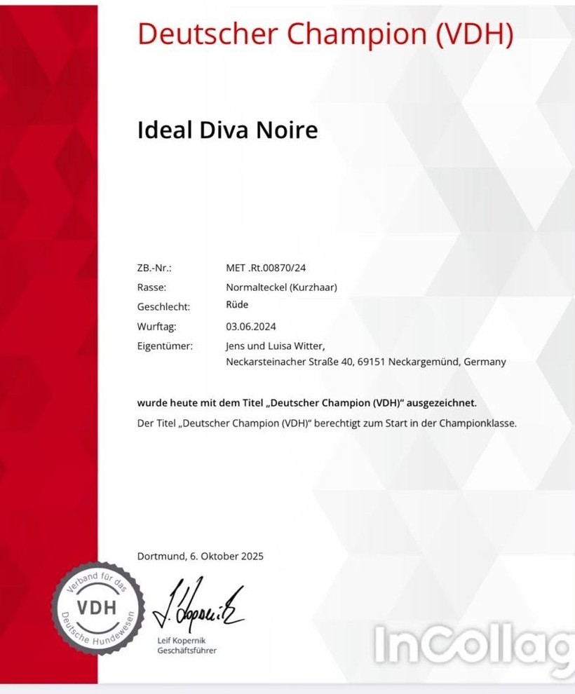 Ideal Diva Noire