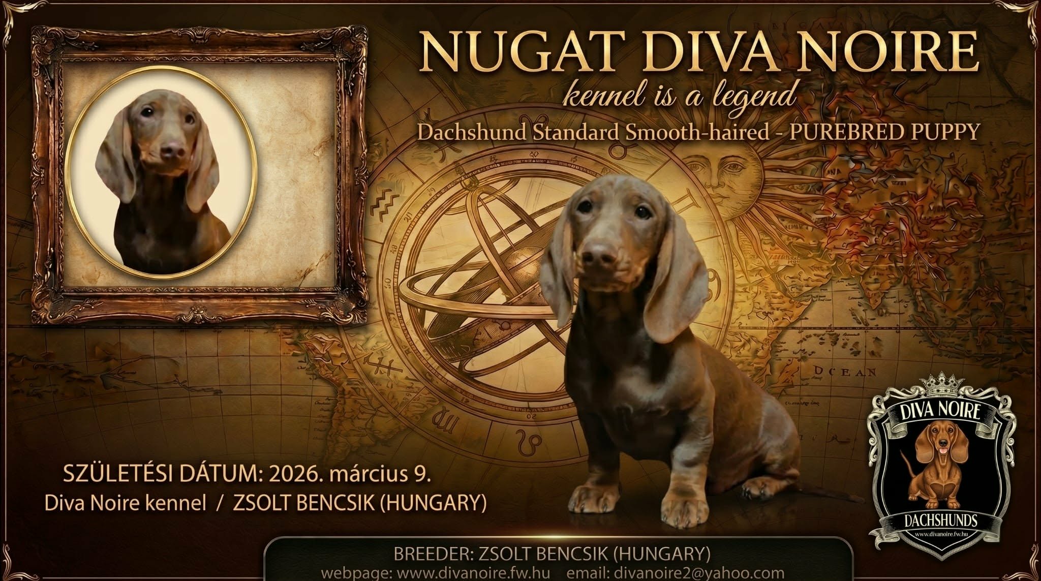 Nug�t