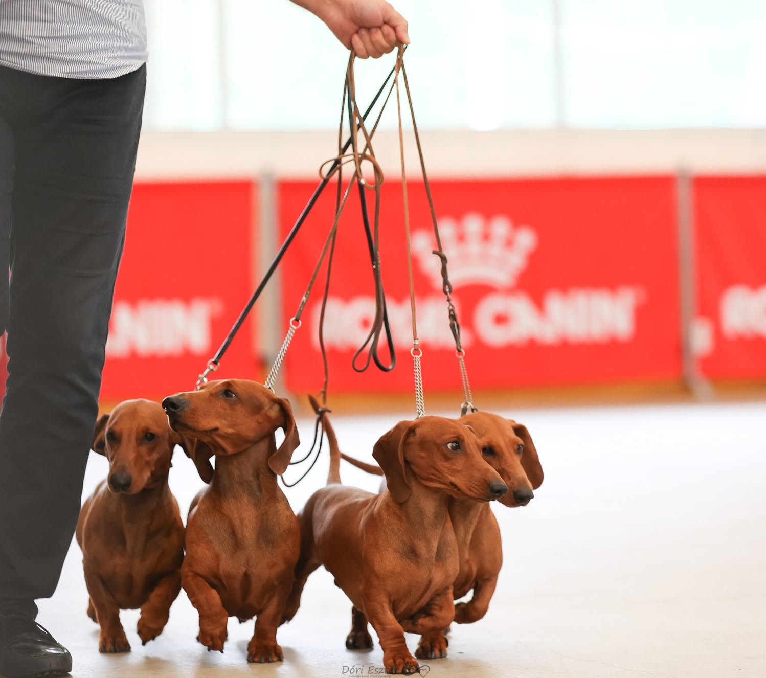 Diva Noire Slide 3