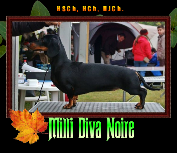 Milli Diva Noire
